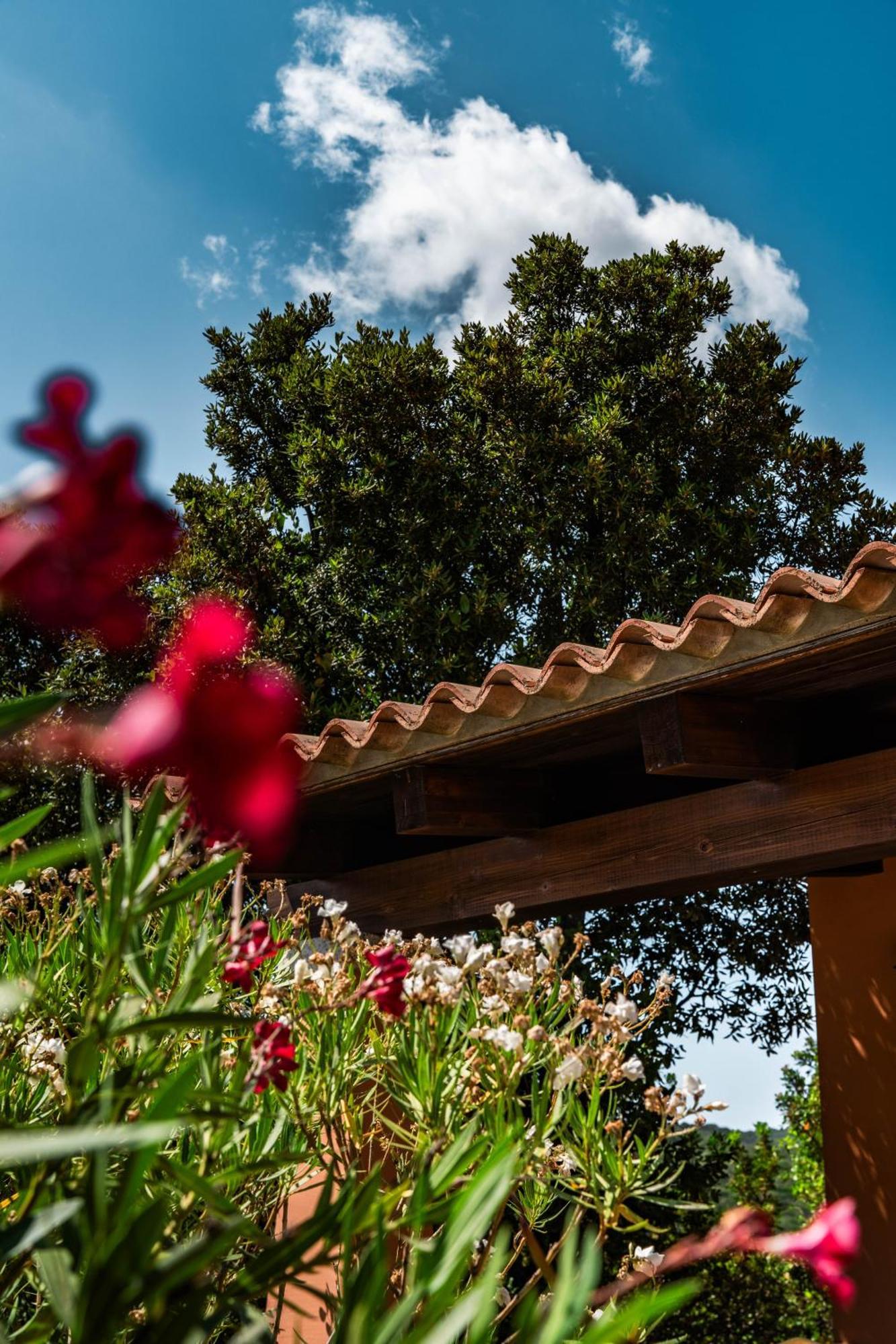Casagliana Suite Resort Olbia Kültér fotó