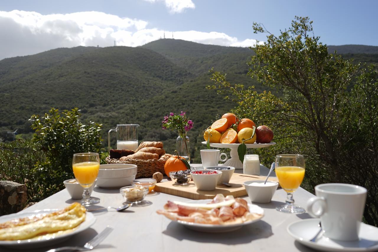 Casagliana Suite Resort Olbia Kültér fotó